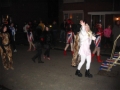 Verlichte Optocht 2008