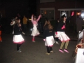 Verlichte Optocht 2008