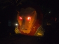 Verlichte Optocht 2009