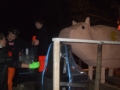 Verlichte Optocht 2009