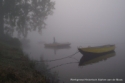 Mist 2011