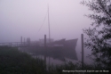 Mist 2011