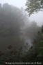 Mist 2011