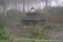 Mist 2011