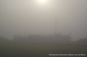 Mist 2011