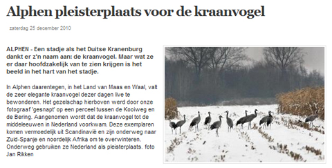 Pleisterplaats kraanvogels
