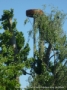 Nest langs de Doorbraakdijk