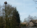 Nest bij het eilandje