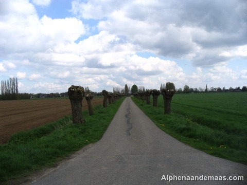 Molse Hoefweg