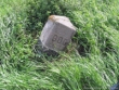 BOG Palen